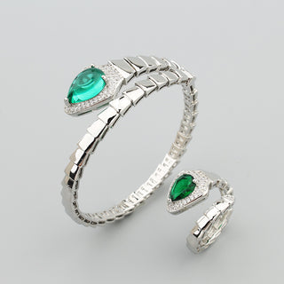 Conjunto de anel com pulseira de osso de cobra 